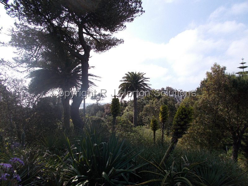 Tresco Abbey - H